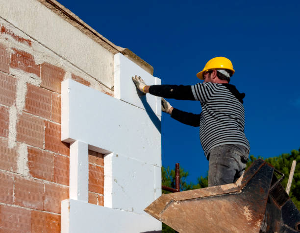 Best Fiberglass Insulation  in Rich Hill, MO