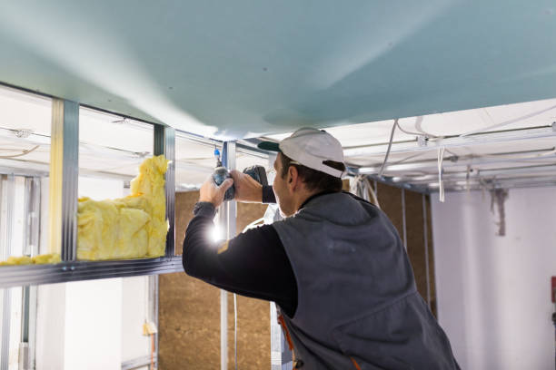 Best Insulation Contractor Near Me  in Rich Hill, MO