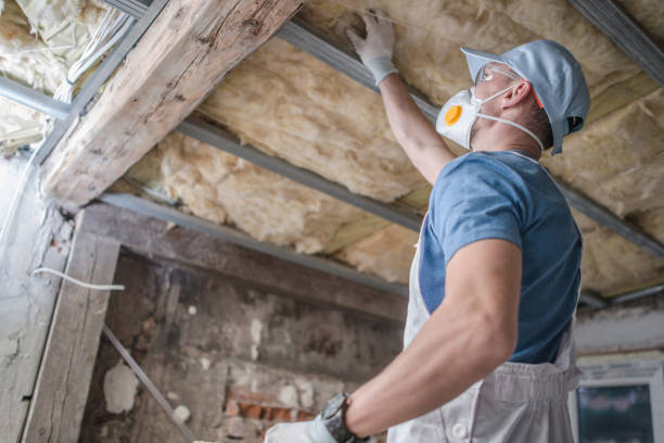 Best Insulation for New Construction  in Rich Hill, MO