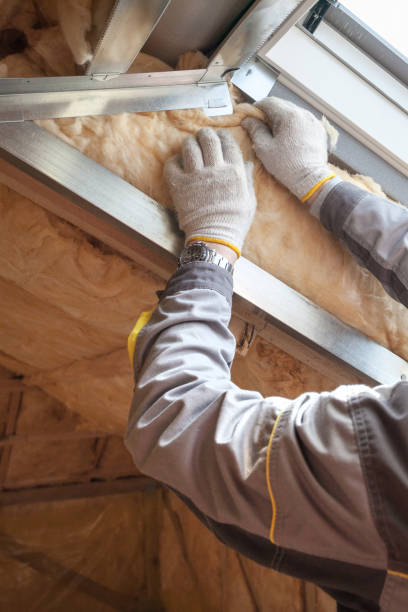 Best Residential Insulation Services  in Rich Hill, MO
