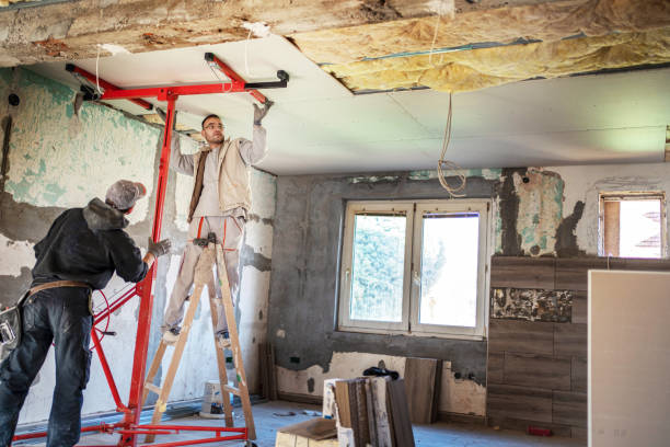 Best Attic Insulation Near Me  in Rich Hill, MO