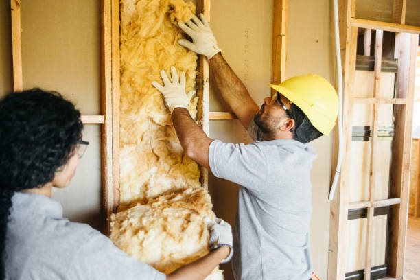 Best Insulation Inspection Services  in Rich Hill, MO