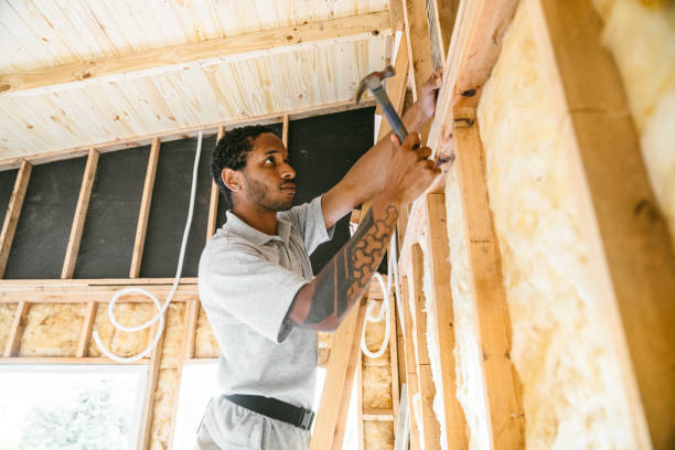 Best Commercial Insulation Contractor  in Rich Hill, MO