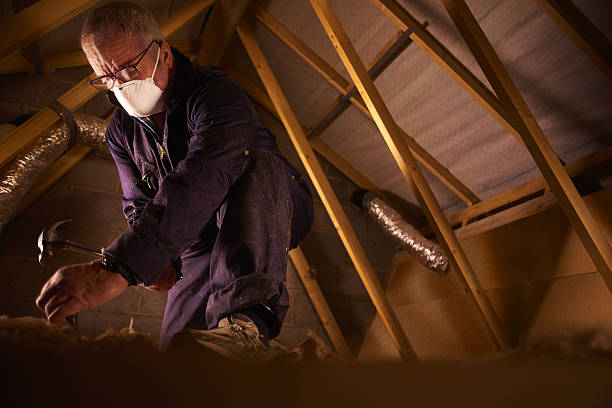 Best Garage Insulation Installation  in Rich Hill, MO