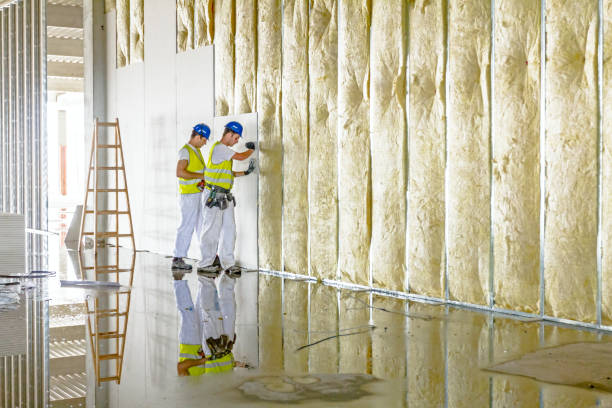 Best Home Insulation Services  in Rich Hill, MO